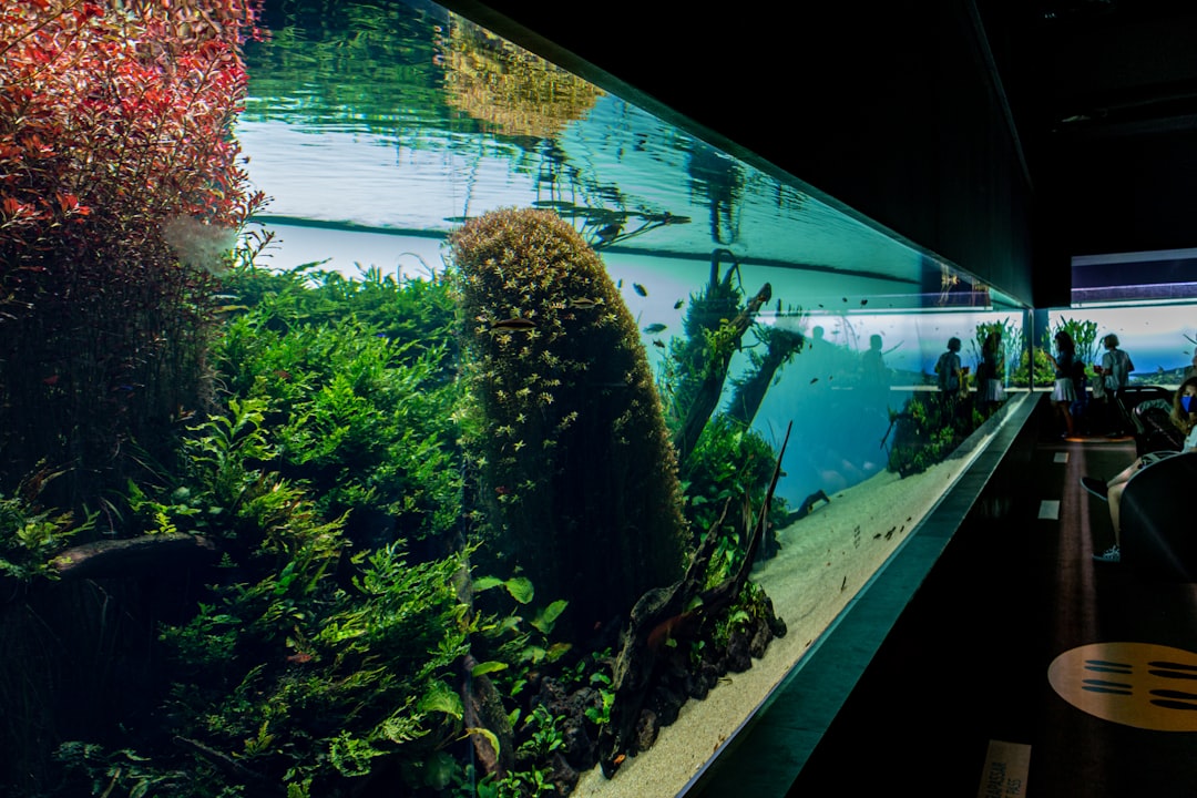 This stunning image captures the immersive Florestas Submersas exhibit at the Oceanário de Lisboa in Lisbon, Portugal. A massive Nature Aquarium, designed by Takashi Amano, showcases a lush underwater landscape filled with vibrant green mosses, deep red aquatic plants, and intricate driftwood arrangements. The overhead lighting pierces the crystal-clear water, creating sharp reflections and a serene, ethereal glow. In the background, the dark gallery hallway reveals silhouetted visitors, emphasizing the scale of this aquatic masterpiece. Its a perfect blend of art and nature.