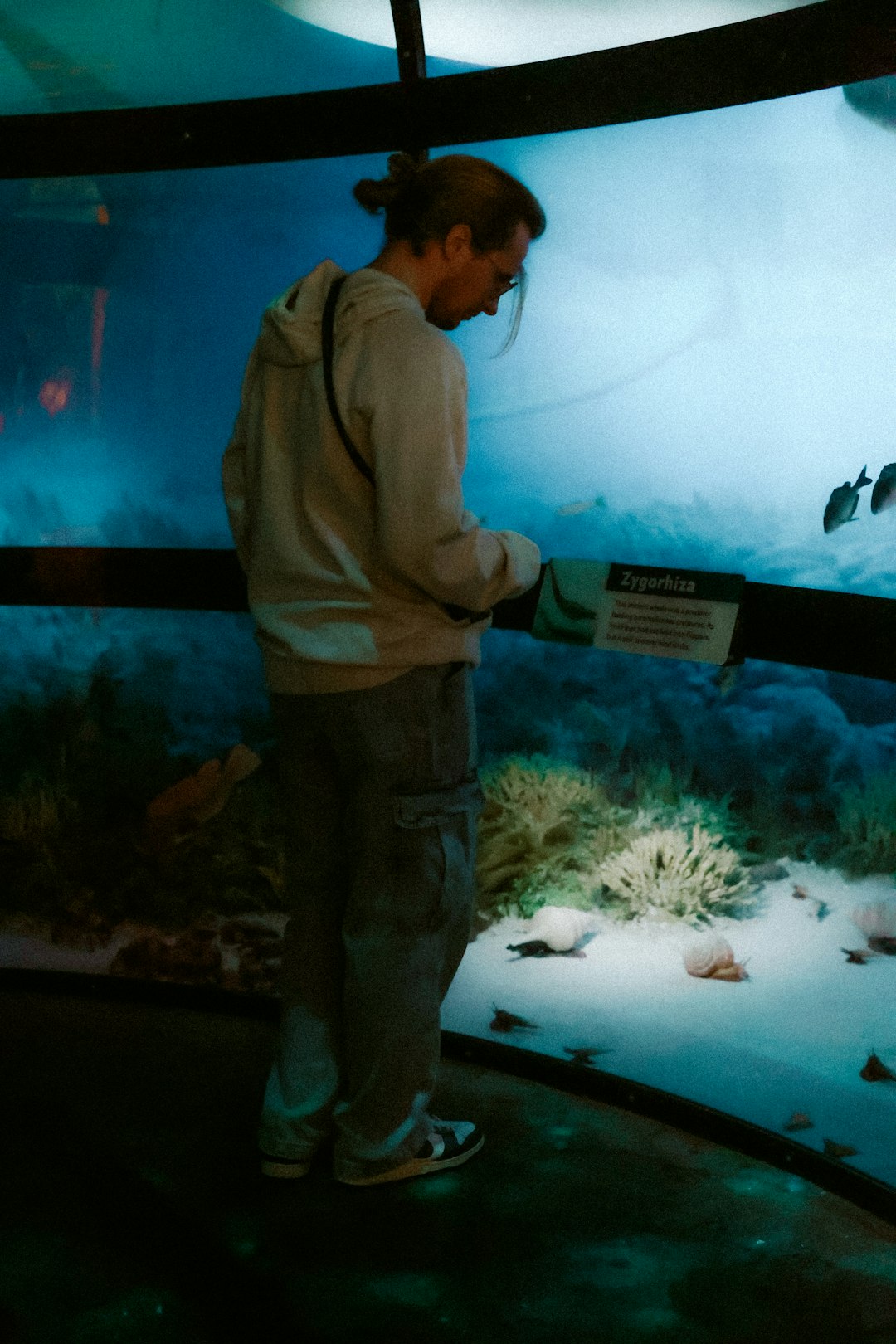 a-man-observes-an-aquarium-exhibit-oxqu4xetxgw